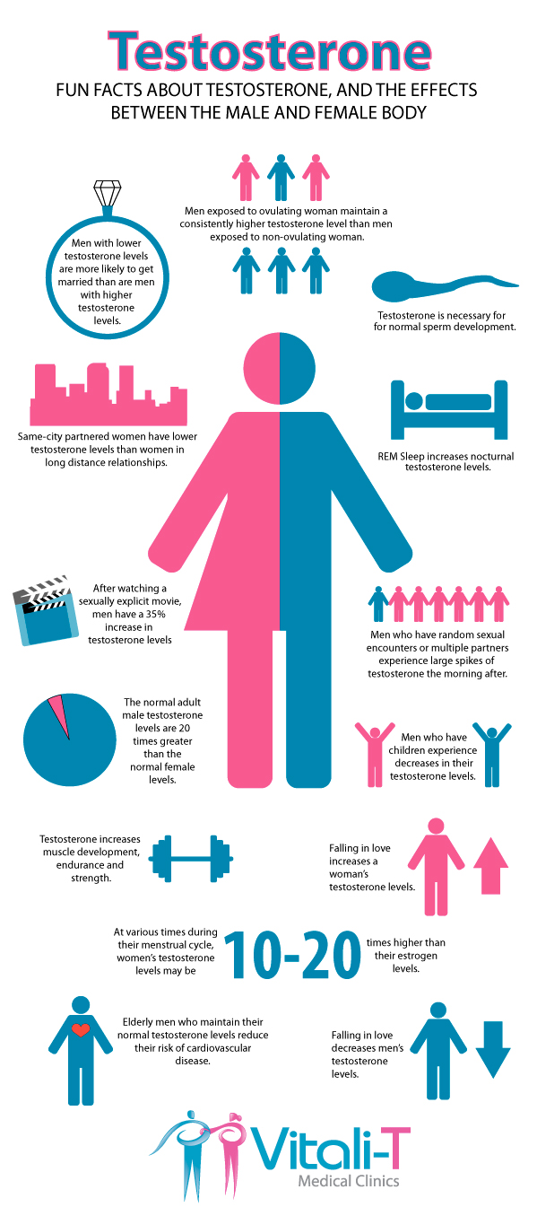 testosterone-infographic.jpg?w=740